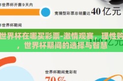 看世界杯在哪买彩票-激情观赛，理性购彩，世界杯期间的选择与智慧