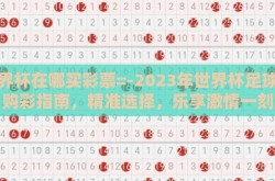 世界杯在哪买彩票=-2023年世界杯足球赛购彩指南，精准选择，乐享激情一刻