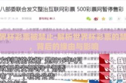 世界杯彩票被禁止-解析世界杯彩票的禁令，背后的缘由与影响