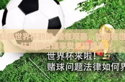 怎么赌世界杯的球-理性观赛，如何在世界杯期间合理享受足球盛宴