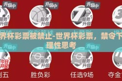 世界杯彩票被禁止-世界杯彩票，禁令下的理性思考