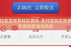 支付宝买世界杯彩票吗-支付宝购买世界杯彩票的便捷与挑战