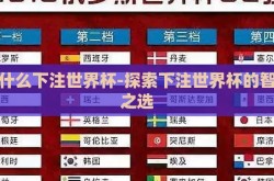 用什么下注世界杯-探索下注世界杯的智慧之选