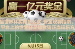 微信世界杯买球怎么买-安全观赛指南，微信平台上的世界杯足球竞猜正当玩乐方式