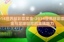2014世界杯彩票奖金-2014世界杯彩票奖金与足球狂欢的金钱魅力