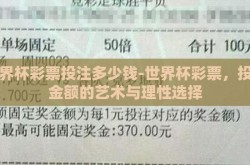 世界杯彩票投注多少钱-世界杯彩票，投注金额的艺术与理性选择