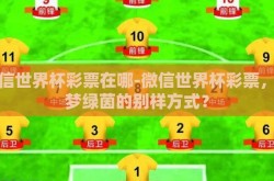 微信世界杯彩票在哪-微信世界杯彩票，逐梦绿茵的别样方式？