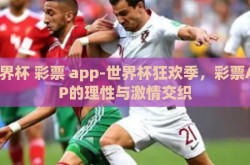 世界杯 彩票 app-世界杯狂欢季，彩票APP的理性与激情交织