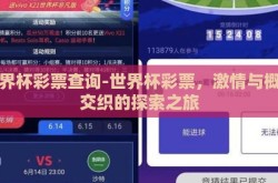 世界杯彩票查询-世界杯彩票，激情与概率交织的探索之旅