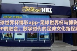 足球世界杯博彩app-足球世界杯与博彩APP的融合，数字时代的足球文化新探索