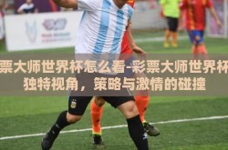 彩票大师世界杯怎么看-彩票大师世界杯的独特视角，策略与激情的碰撞