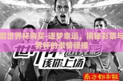 彩票世界杯购买-逐梦幸运，揭秘彩票与世界杯的激情碰撞