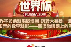 世界杯彩票新浪微博网-玩转大赛场，世界杯彩票的数字魅影——新浪微博网上的互动体验