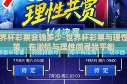 世界杯彩票会输多少-世界杯彩票与理性决策，在激情与理性间寻找平衡