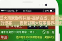 彩票大赢家世界杯版-逐梦赛场，彩梦成真的惊喜——揭秘彩票大赢家世界杯版