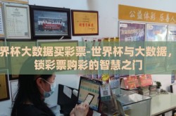 世界杯大数据买彩票-世界杯与大数据，解锁彩票购彩的智慧之门