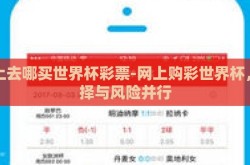 网上去哪买世界杯彩票-网上购彩世界杯，选择与风险并行