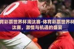 体育彩票世界杯淘汰赛-体育彩票世界杯淘汰赛，激情与机遇的盛宴