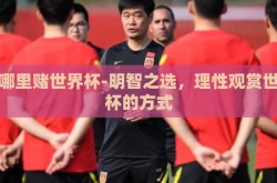 在哪里赌世界杯-明智之选，理性观赏世界杯的方式