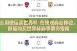 怎么用微信买世界杯-在线观赛新体验，用微信购买世界杯赛事票务指南