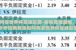 如何买世界杯足球彩票-体验竞技激情，一步步指南教你如何购买世界杯足球彩票