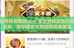 买世界杯彩票的app-买世界杯彩票的安心应用，数字娱乐与风控的完美邂逅