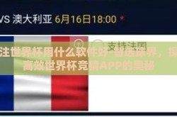 下注世界杯用什么软件好-智选球界，探寻高效世界杯竞猜APP的奥秘