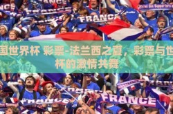 法国世界杯 彩票-法兰西之夏，彩票与世界杯的激情共舞