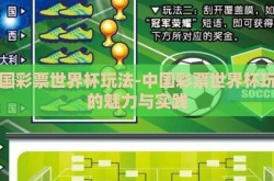 中国彩票世界杯玩法-中国彩票世界杯玩法的魅力与实践