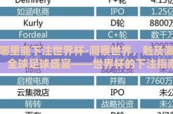 在哪里能下注世界杯-洞察世界，触及激情，全球足球盛宴——世界杯的下注指南