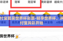 支付宝能买世界杯彩票-畅享世界杯，从支付宝购彩开始