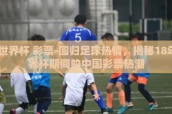 18世界杯 彩票-回归足球热情，揭秘18年世界杯期间的中国彩票热潮