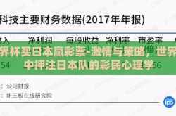 世界杯买日本赢彩票-激情与策略，世界杯中押注日本队的彩民心理学