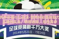 世界杯彩票什么买法-世界杯彩票的魅力与正确购买法，明智选择，乐在其中