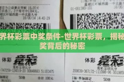 世界杯彩票中奖条件-世界杯彩票，揭秘中奖背后的秘密