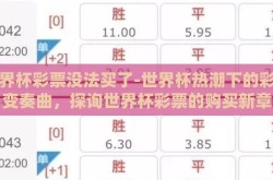 世界杯彩票没法买了-世界杯热潮下的彩市变奏曲，探询世界杯彩票的购买新章