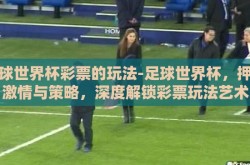 足球世界杯彩票的玩法-足球世界杯，押注激情与策略，深度解锁彩票玩法艺术