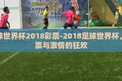 足球世界杯2018彩票-2018足球世界杯，彩票与激情的狂欢