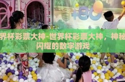 世界杯彩票大神-世界杯彩票大神，神秘而闪耀的数字游戏