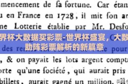 世界杯大数据买彩票-世界杯盛宴，大数据助阵彩票解析的新篇章