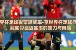 世界杯足球彩票返奖率-享世界杯足球盛宴，解密彩票返奖率的魅力与风险
