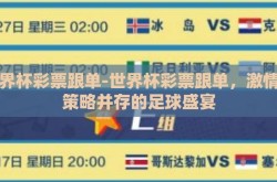 世界杯彩票跟单-世界杯彩票跟单，激情与策略并存的足球盛宴