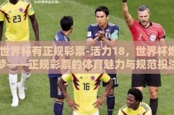 18世界杯有正规彩票-活力18，世界杯燃情逐梦——正规彩票的体育魅力与规范投注指南