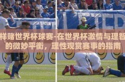 怎样赌世界杯球赛-在世界杯激情与理智间的微妙平衡，理性观赏赛事的指南