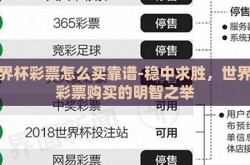 世界杯彩票怎么买靠谱-稳中求胜，世界杯彩票购买的明智之举