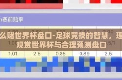 怎么赌世界杯盘口-足球竞技的智慧，理性观赏世界杯与合理预测盘口