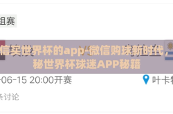 微信买世界杯的app-微信购球新时代，揭秘世界杯球迷APP秘籍