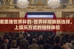 在哪里赌世界杯的-世界杯观赛新选择，线上娱乐方式的独特体验