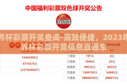 世界杯彩票开奖查询-高效便捷，2023年世界杯彩票开奖信息直通车