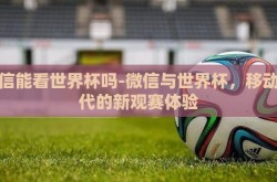 微信能看世界杯吗-微信与世界杯，移动时代的新观赛体验
